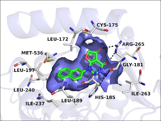 Novel Selective Inhibitors of PfDHODH: Discovery and Optimization of Pyrimidone  Derivatives